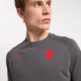 MILAN PUMATECH 2025/26 GREY T- SHIRT