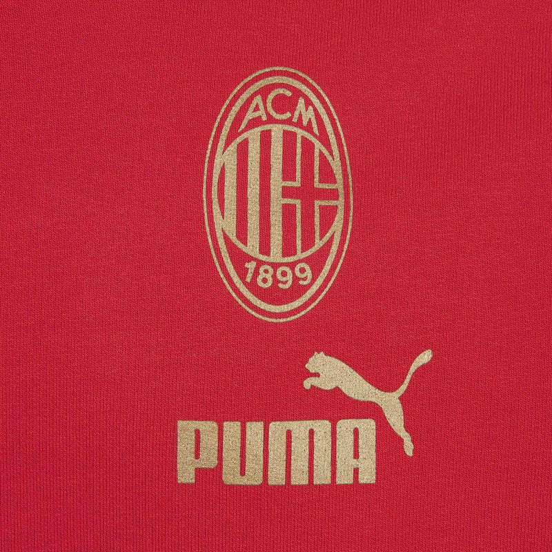 AC MILAN CULTURE COLLECTION POLO HOODIE