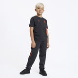 T-SHIRT GRIGIA SCURA BAMBINO MILAN PUMATECH 2026/27