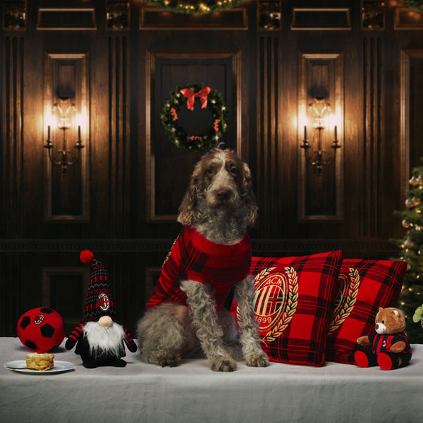 MAGLIONE TARTAN DI NATALE PER CANI MILAN