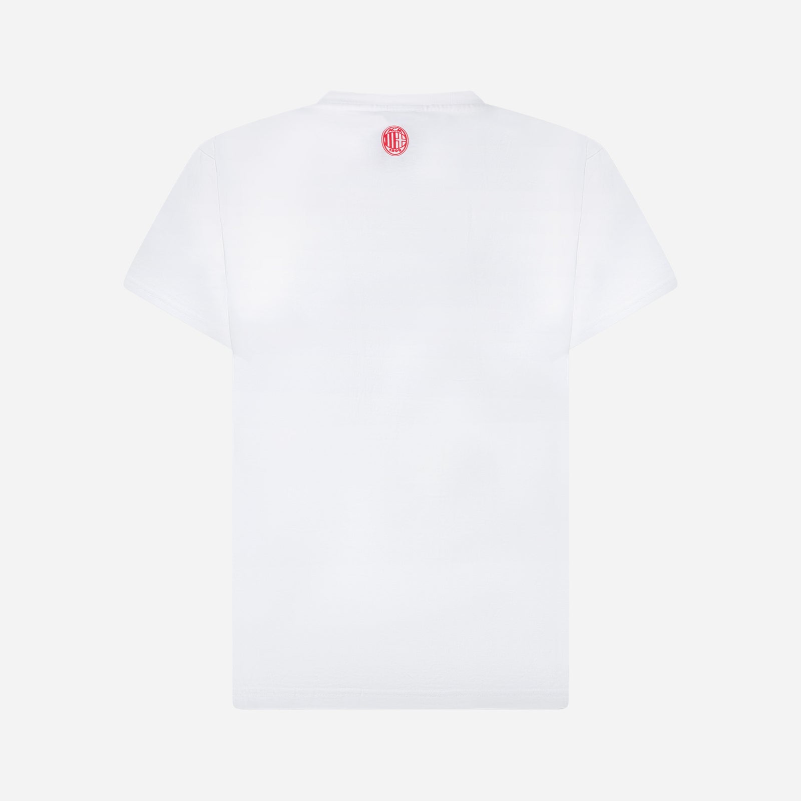 CLLGTEE-A01_02_1600x.jpg?v=