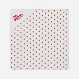 AC MILAN NEWBORN HOODED TOWEL