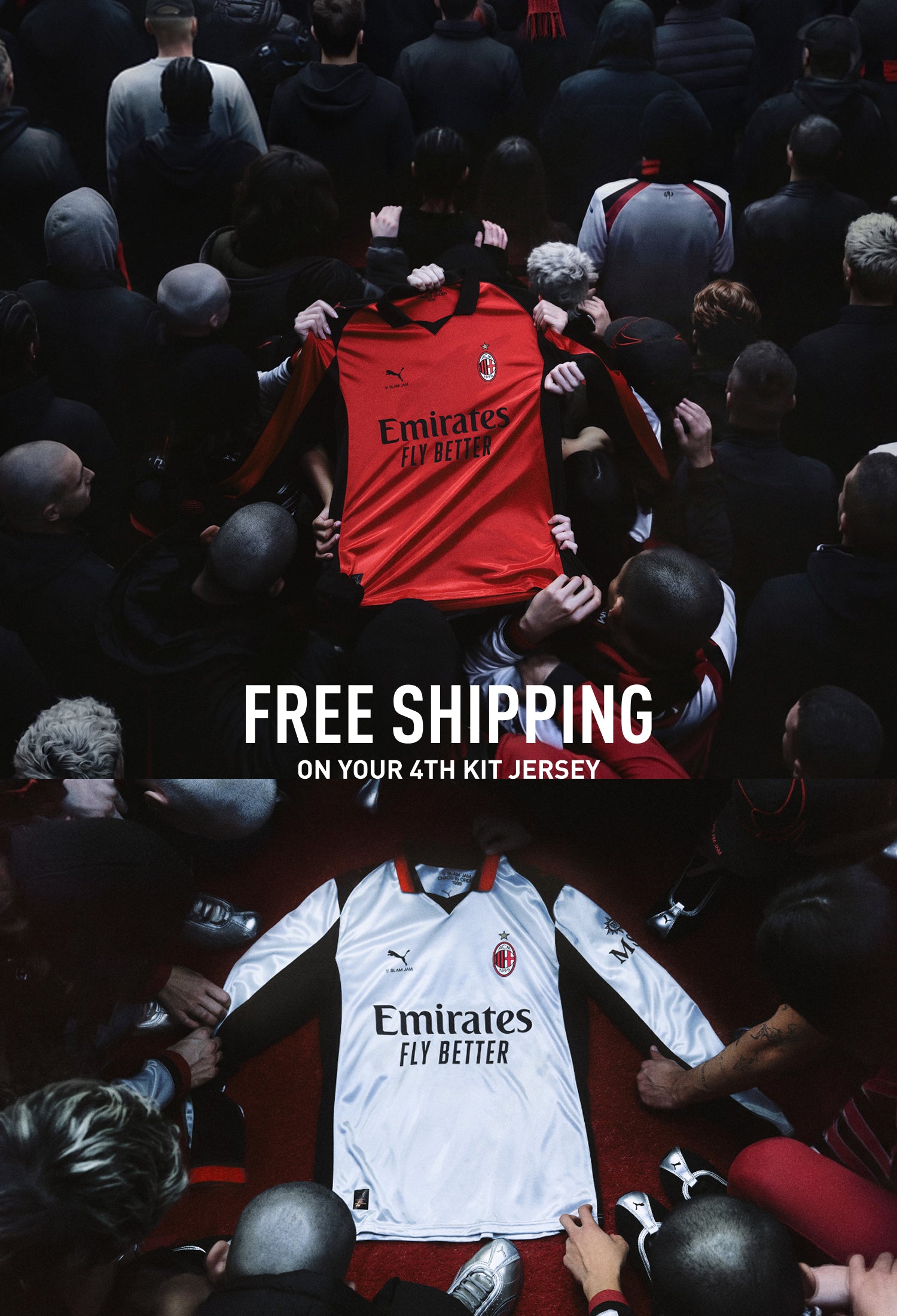 <p>FREE SHIPPING</p>