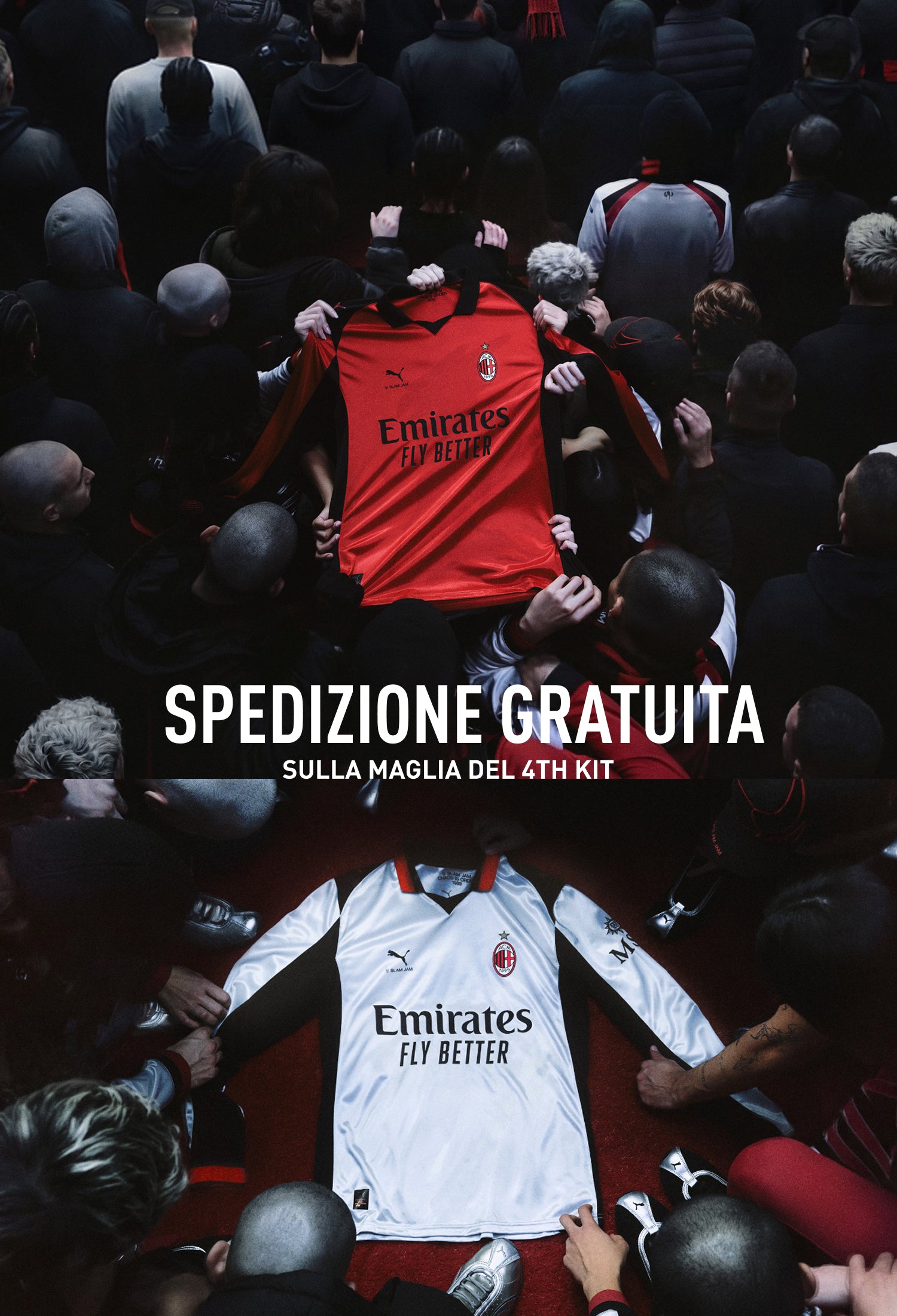 <p>SPEDIZIONE GRATUITA</p>