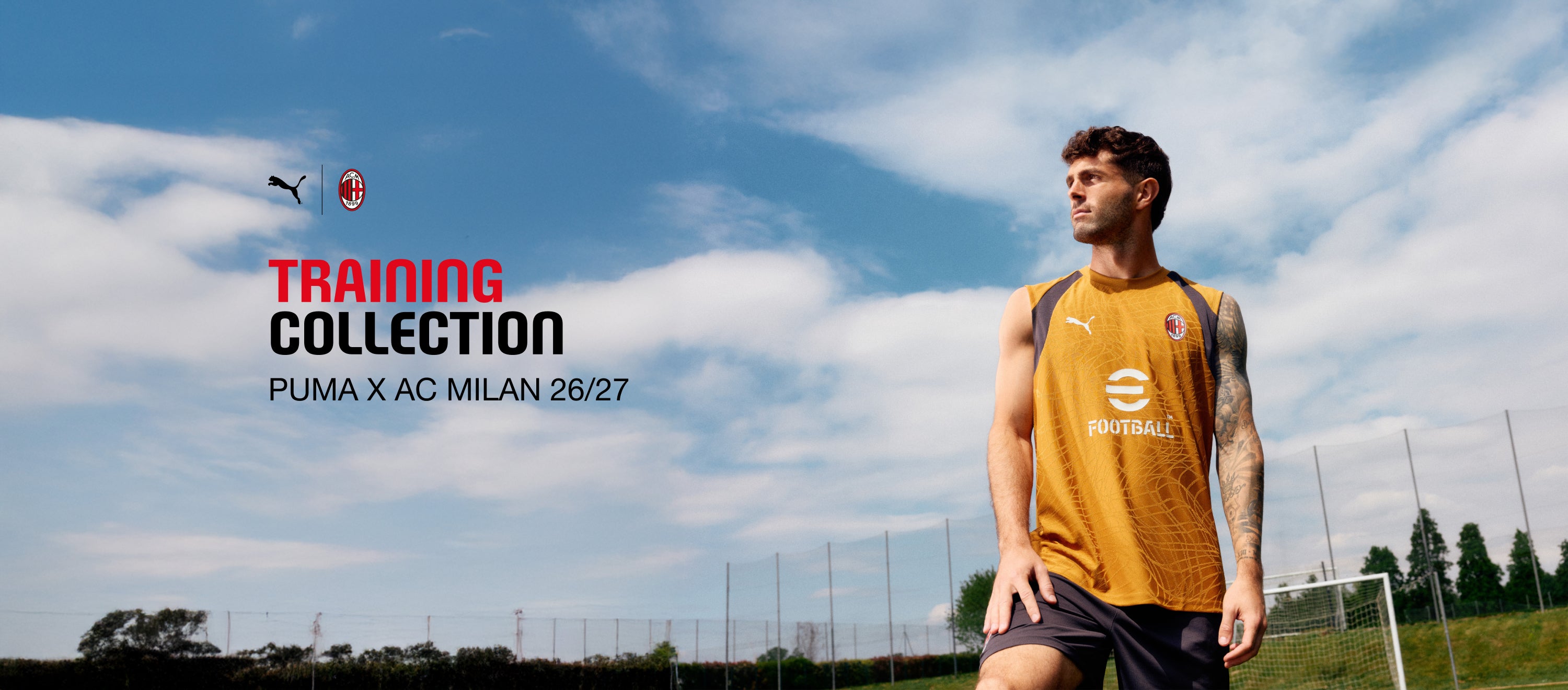 <p>collezione training</p>