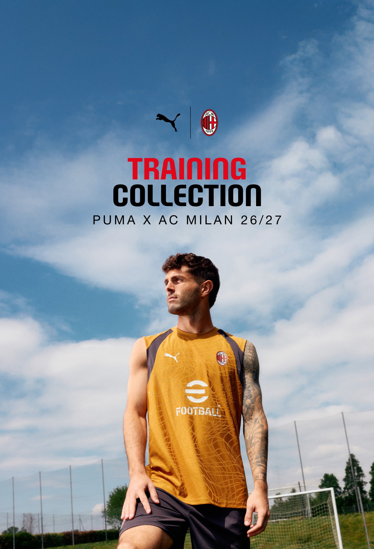 <p>collezione training</p>