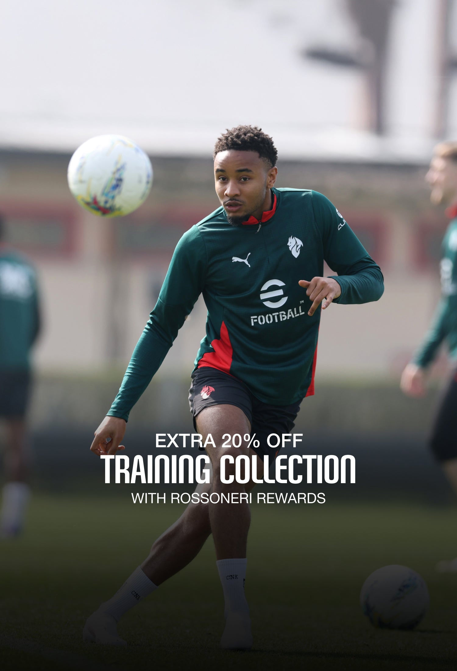 <p>TRAINING COLLECTION</p>