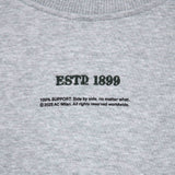 FELPA MILAN GRIGIA SUNDAY STADIUM CREW BAMBINO